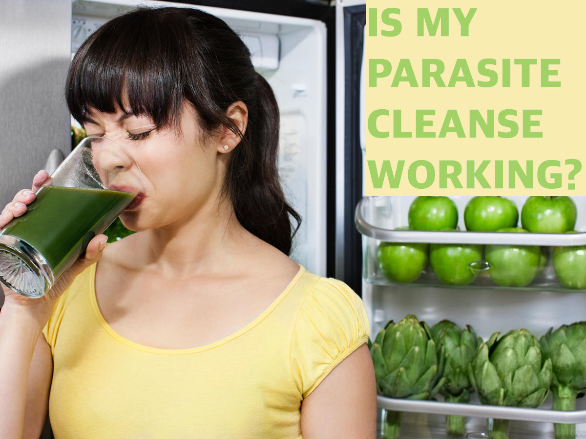 How to know if a parasite cleanse is working?