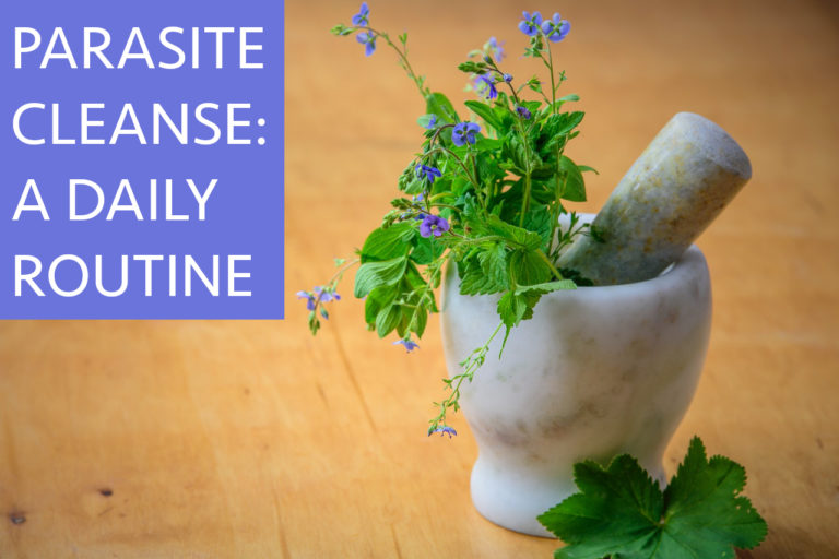 Parasite Cleanse Routine