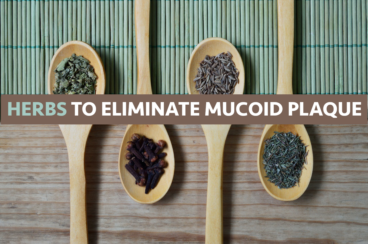 Herbs to eliminate mucoid plaque
